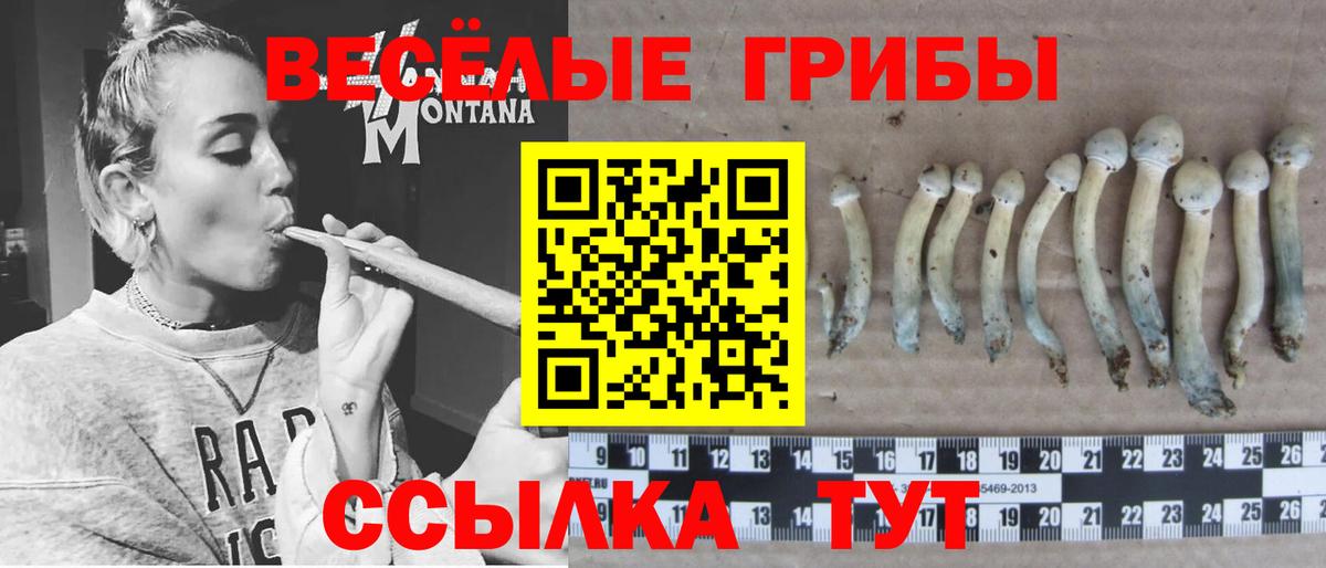 Галлюциногенные грибы мухоморы Симферополь